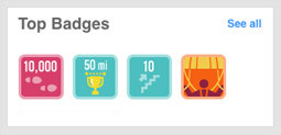 Badges